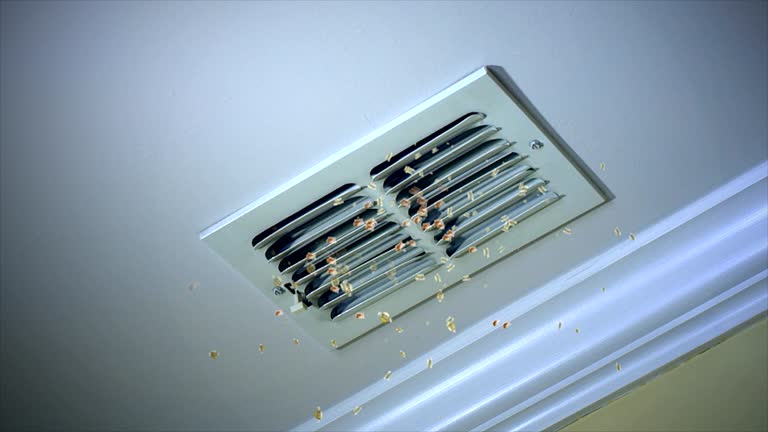 Home Air Vent Cleaning in Dresser, WI